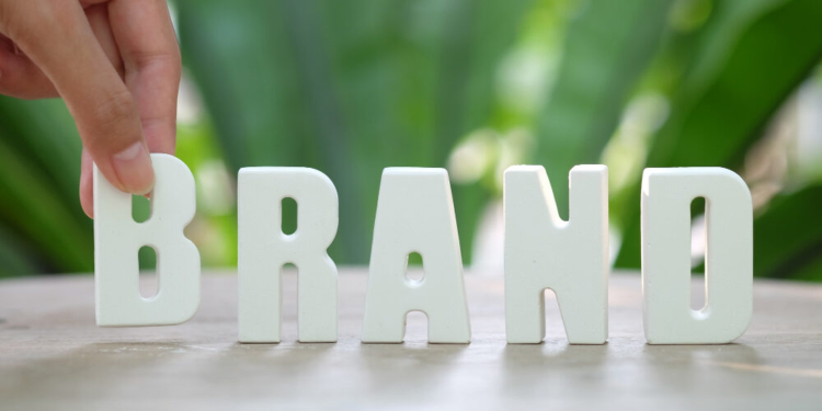 Personal Branding Crafting Your Unique Identity for Success citizenup.co citizenup